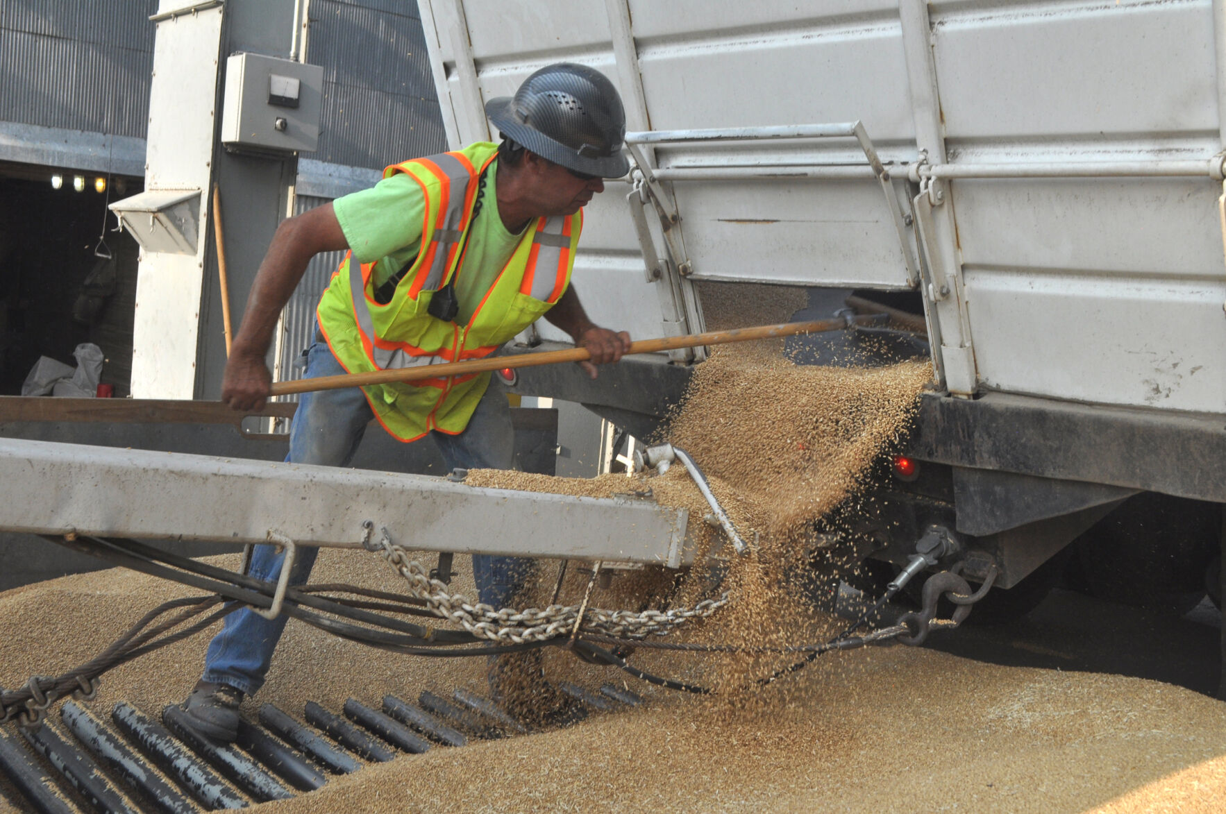 Sweeping grain photo